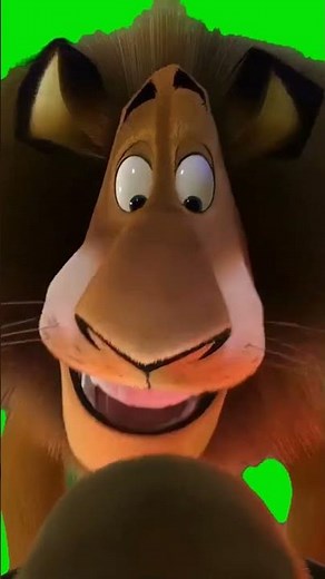 madagascar mort crying alex the lion saying hi there | Green Screen