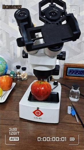 Apple Under the Microscope 🍏 A Hidden World Inside 🍎🔬|microuniverse Ep.33