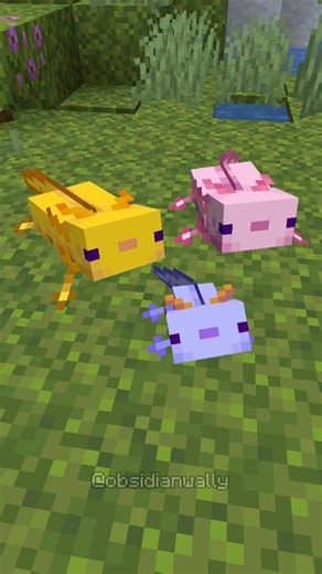 wally | axolotl farm in minecraft #minecraft #minecraftmemes #minecraftbuilds | Instagram