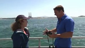 879K views · 7.7K reactions | GROUNDBREAKING TV MOMENT! Steve Backshall is interrupted by a blue whale live on BBC One. During an interview with whale expert Dorris Welch, Steve has to intervene and cut live to a BLUE WHALE! | BBC Wild Alaska Live | Facebook