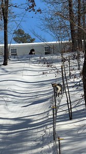 Boys enjoying sledding down the hill #snow #kids #FunnyVideos #sleds #sketchy #farm #goats #homestead | C&M Ranch