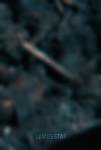 Epic Dylan O'Brien Tribute Video