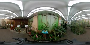 Připravte se na setkání s těmi nekrásnějšími motýly z Thajska, Filipín, deštných pralesů Jižní Ameriky či Mexika. Čeká vás skvělý zážitek a žlutou barvou oblečení si ho ještě znásobíte ;) Více najdete na webu https://dianakv.cz/cs/motyli-dum | Turistika.cz