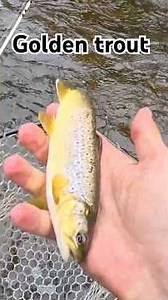 That’s why BFS fishing is so exciting!