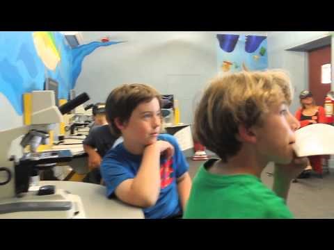 Meroplankton vs. Holoplankton