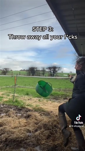 How to Keep Your Horse Mud-Free in Bad Weather