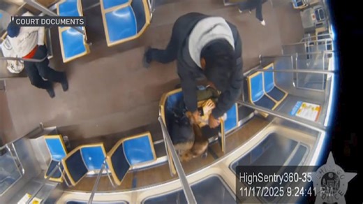 Startling new details revealed as feds say woman was set ablaze on CTA train as bystanders watched