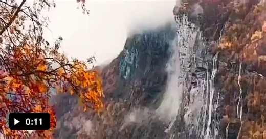 Getting a it all ... - Video