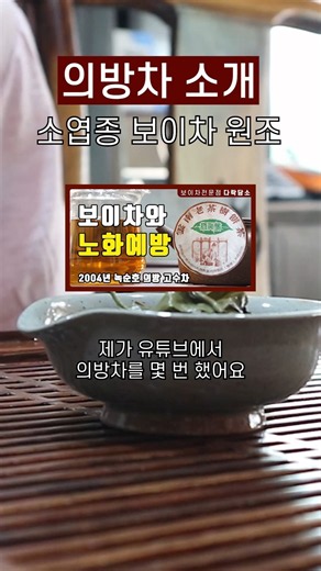 보이차 의방차 소개 | 2026년 의방 고수차 #보이차 #운남성 #고수차