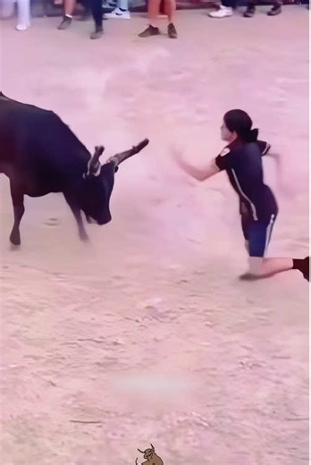 Bullfighting Highlights: Attacks & Courage#bullfighting #crazy #extremesport #highlights #fight