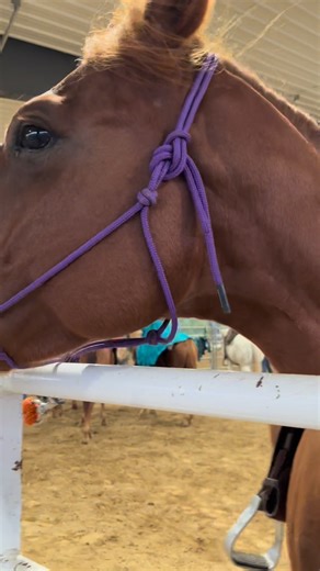 Preble County Convention & Visitors Bureau on Reels