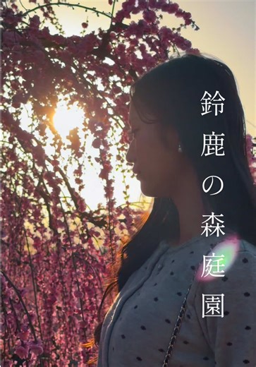 今が満開のレベチの絶景 天国にでも来たのかと思うほど圧巻の絶景 📍鈴鹿の森庭園 しだれ梅まつり 入園料開花状況で変動するみたいです！ 3/5撮影🎥当日は2,000円でした 入り直しができる一日フリーパスは2500円でした！ 営業時間は9:00～20:30（最終入園20:00） 鈴鹿の森庭園 〒519-0315 三重県鈴鹿市山本町１５１−２ 駐車場無料有 model @でびるん🐻❤️ It's like a different world A superb view that makes me think I've come to heaven 📍Suzuka Forest Garden Weeping Plum Festival It seems that the admission fee will fluctuate depending on the flowering situation! 3/5 shooting 🎥 It was 2,000 yen on the day The one-day free pass that can be re-entered was