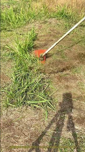 野外草地の機械化除草：電動長柄刈払機で雑草を精密に切断する作業者