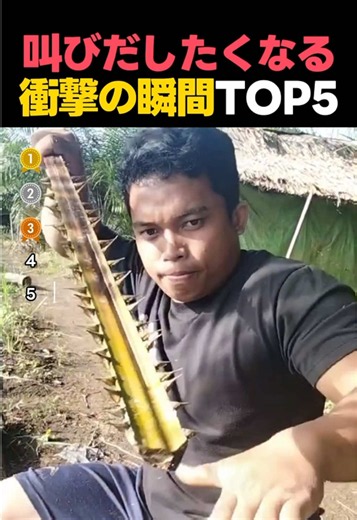 思わず叫びだしたくなる世界の衝撃映像TOP5#ランキング #fyp