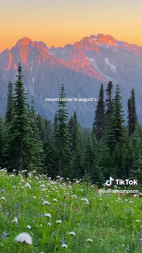 Explore the Beauty of Mount Rainier in August