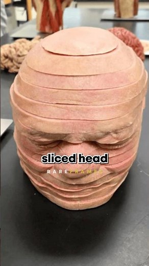 These Unbelievable Rare Photos Will BLOW Your Mind 😱