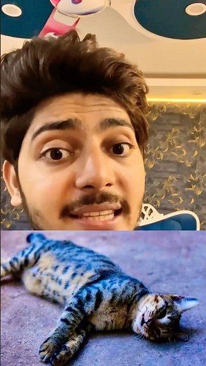 “Creepy: cat’s last meow caught on audio 🤯 #facts #cat #creepy #shorts