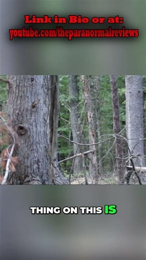 Depth of Field Testing: Forest vs. Home? #shorts