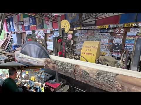 sawing hard & soft maple logs with Pete # 615