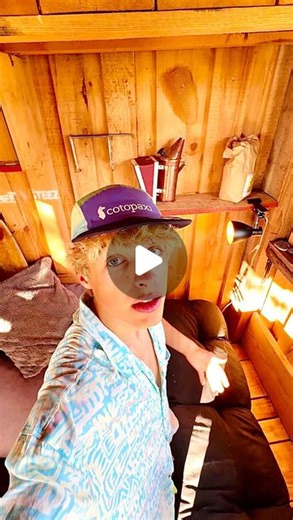 Quentin Kupfer | SCHLANGE IM BETT 🛌 #beesteez #schlange #ringelnatter #bienenhaus | Instagram