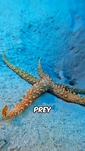 Animal Facts That Will Blow Your Mind #animalfacts #support | Amazing Animals Facts