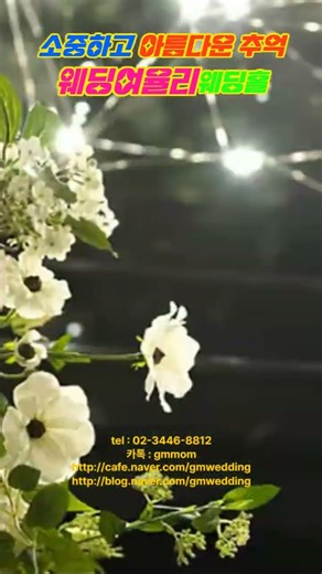 소중하고 아름다운 추억 웨딩여율리웨딩홀 특별한혜택, 고품격웨딩, 격조높은결혼식