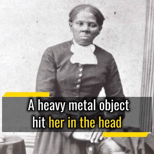 Born into slavery in Maryland, Harriet Tubman managed to liberate herself and free thousands of slaves in the process. This is her courageous story. | Life Stories
