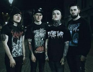 Operation Cunt Destroyer | Wiki | Metal Amino