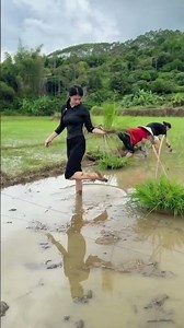 Beautiful Rural Life: Rice Planting Day 🌾 | Hardworking Village Girl in Paddy Field | Rice Farming