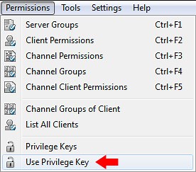 Teamspeak Generate Privilege Key Console