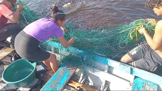 Harvest of Tambaqui at the Mashabo Lake Cage Aquaculture Project. A significant aspect of this project is the involvement of women, including in harvesting, post-harvesting, and sales. | President Irfaan Ali