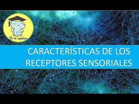 CARACTERÍSTICAS DE LOS RECEPTORES SENSORIALES