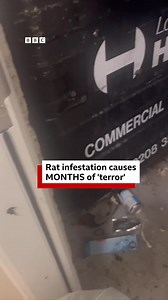 2.2M views · 6.1K reactions | A rat infestation at an apartment block...