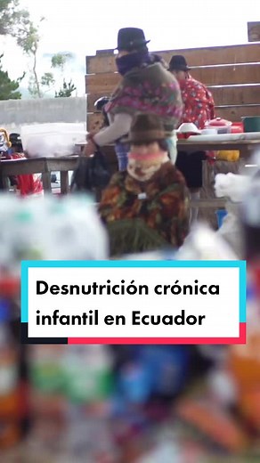¿Cuáles son las causas y efectos de la desnutrición crónica? #fypシ #nutricion #salud #ecuador