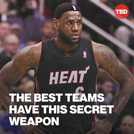 601K views · 5K reactions | "Excellence is not believing that you're the best — it's actually about striving to get better." —— Adam Grant, organizational psychologist | TED | Facebook