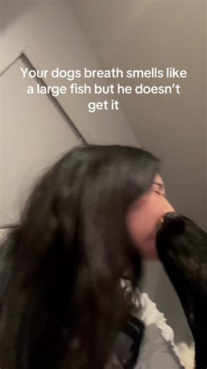 Understanding Your Dog's Unique Smell and Needs