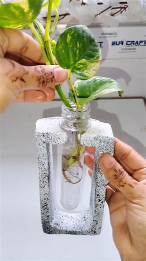 White cement vase DIY / white cement planter DIY #art #craft #diy #painting #viral #shorts #youtube