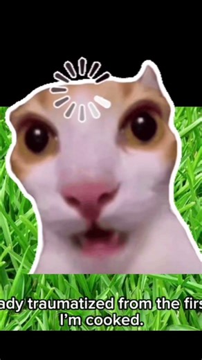 Important Roblox info #roblox #mrbeast