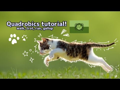 Quadrobics tutorial!! Walk, trot, run, gallop🐾🍃 // Туториал на Квадробику!! Ходьба, Рысь, Бег, Галоп