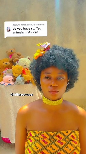 Real Animals vs Stuffed Animals in Africa