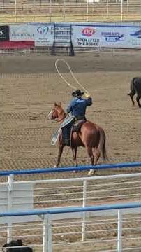 Cody Stampede Rodeo Extreme Bull Riding Night