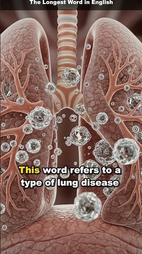 The Longest Word in English