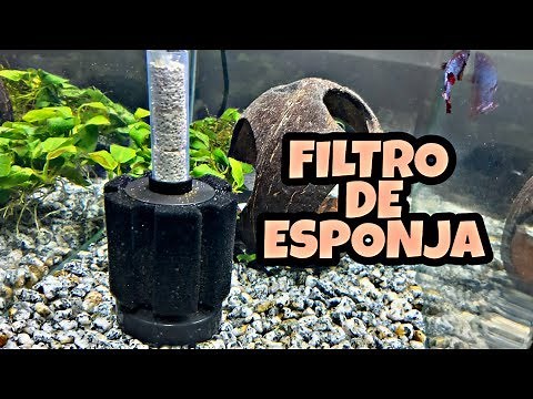 HOW A SPONGE FILTER WORKS