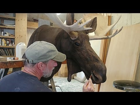 Wood Carving Time-Lapse | Moose