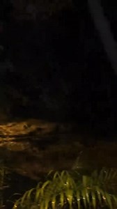 Keadaan kepala air di Sungai Bil, Tanjong Malim awal pagi tadi.. Hati-hati laa kome… Kalau plan nak camping dekat dengan sungai, baik tangguh dulu. Cuaca tak menentu sekarang, kepala air ni boleh datang tiba-tiba, seram oo! 😟 Utamakan keselamatan dulu ya 🙏 📹 aaaammme.yooi | Perak Press