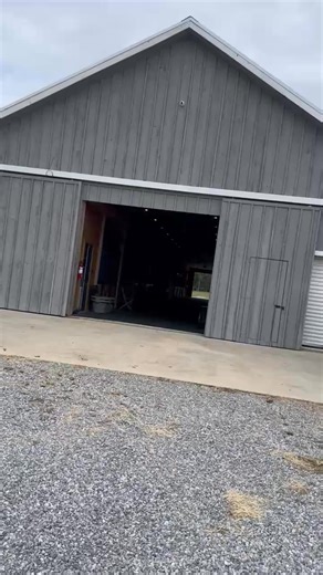 All is good with our fine boys in Mississippi at Honor Hill | Jon Cheplak