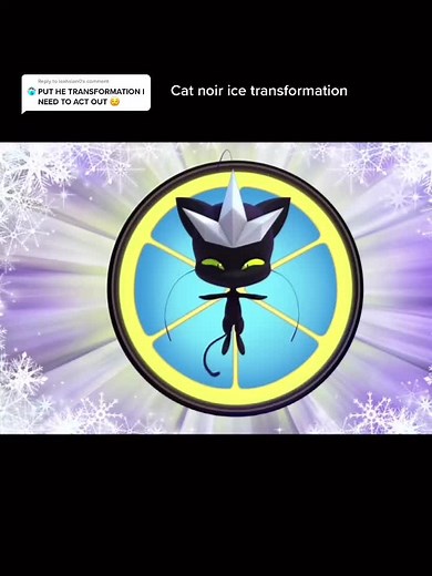 Miraculous Ladybug Cat Noir Ice Transformation