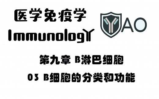 医学免疫学 第九章_03 B细胞的分类和功能