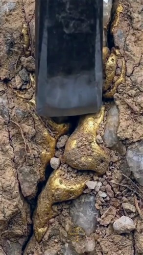 Gold Found in Rock! 😱 Natural Gold Vein Discovery Inside Quartz | Amazing Gold Mining Footage