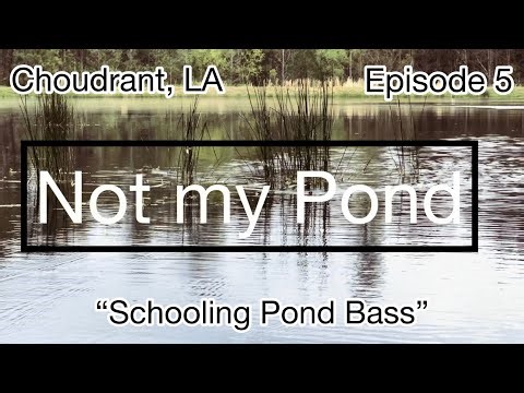 MORE bites? This quick change GOT ‘EM! | Episode 5